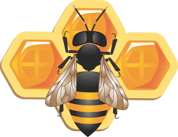 可爱的3d蜜蜂和蜂窝矢量素材