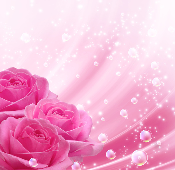 梦幻玫瑰鲜花背景图片