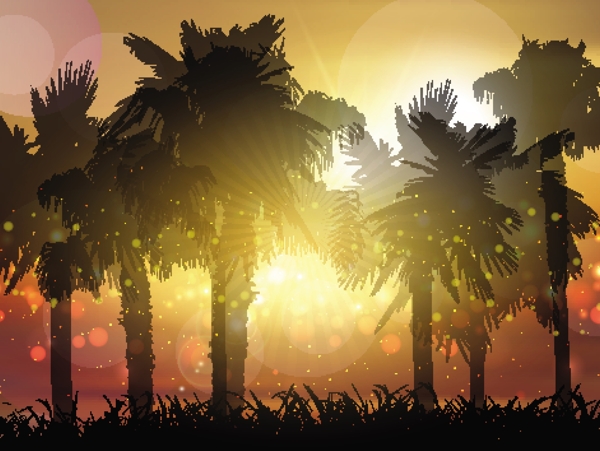 在落日的天空的棕榈树的剪影