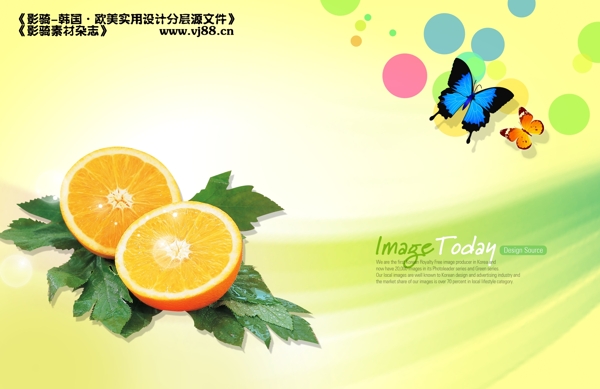 健康营养水果新鲜美味橙子影骑韩国实用设计分层源文件PSD源文件