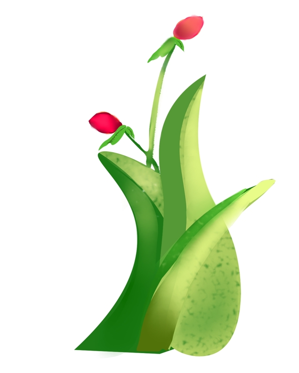 植物花朵卡通插画