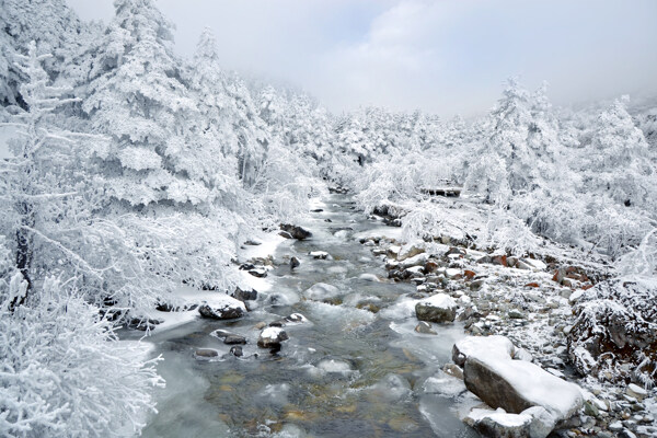 雅家冰河