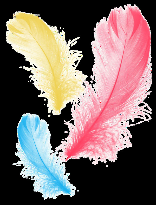 手绘三条三色羽毛透明装饰素材