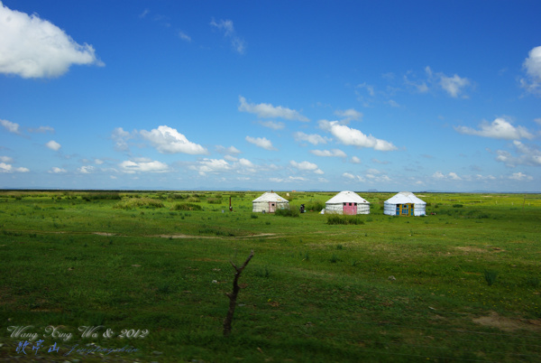 蒙古包草原图片