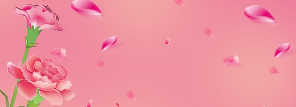 粉色浪漫康乃馨花瓣文艺清新背景海报