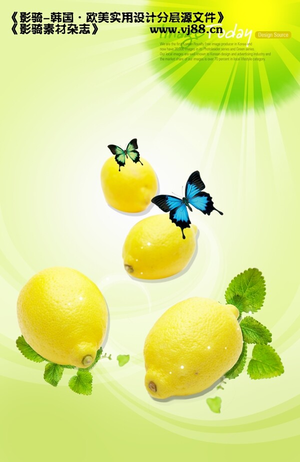 柠檬新鲜健康营养水果影骑韩国实用设计分层源文件PSD源文件