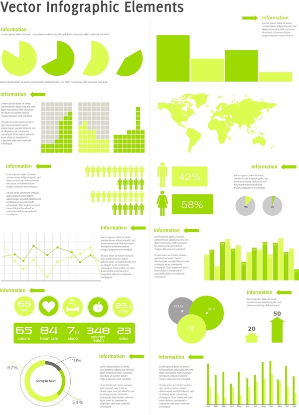 绿色信息图形矢量模板