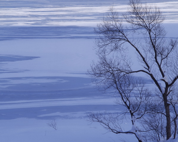 冬天雪景