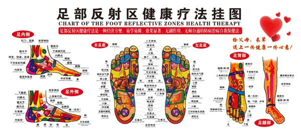 足部反射区健康疗法挂图图片