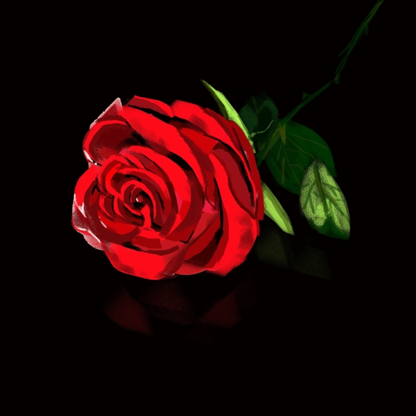 神秘的红色玫瑰花