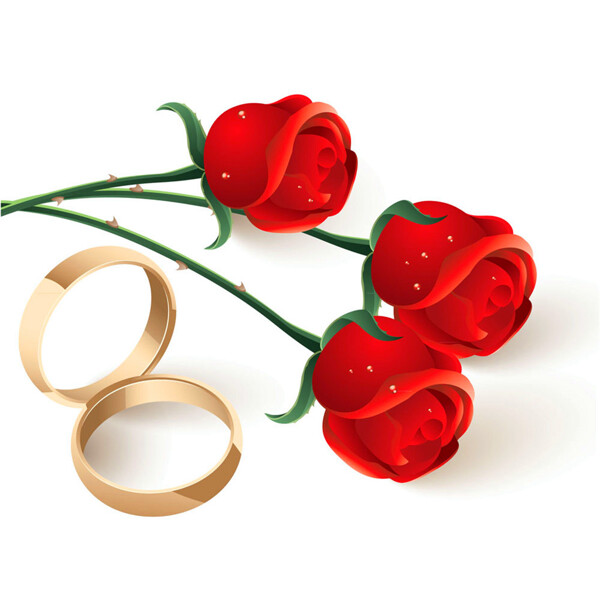 矢量戒指和玫瑰图片