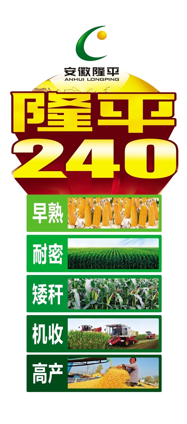 隆平240