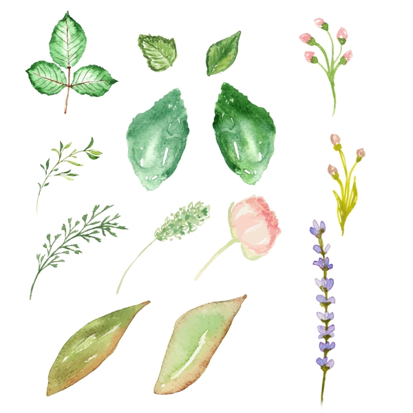 手绘插画植物绿叶花
