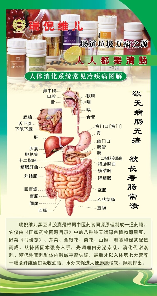 瑞倪维儿清肠海报