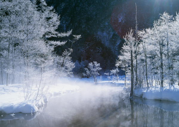 河边树木夜间雪景图片