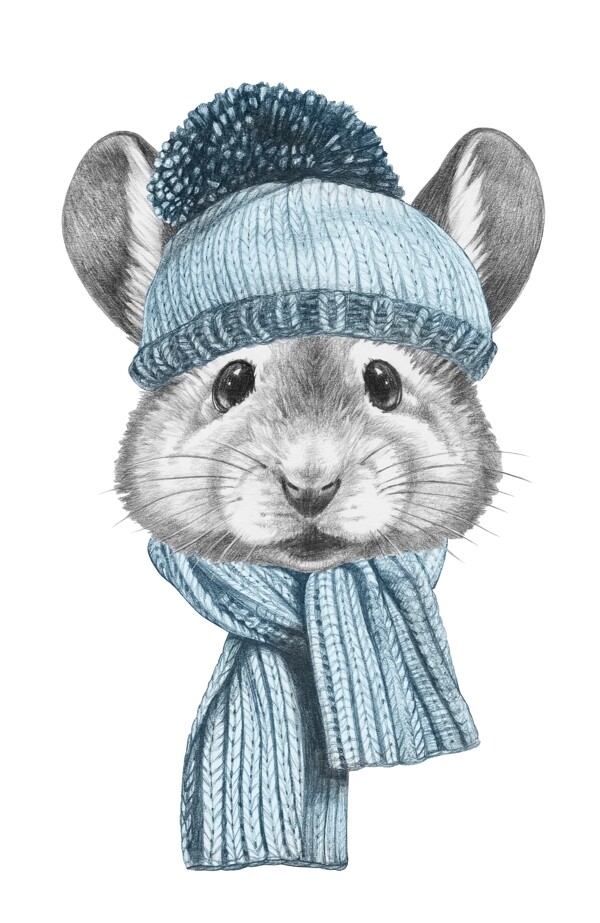 冬帽老鼠