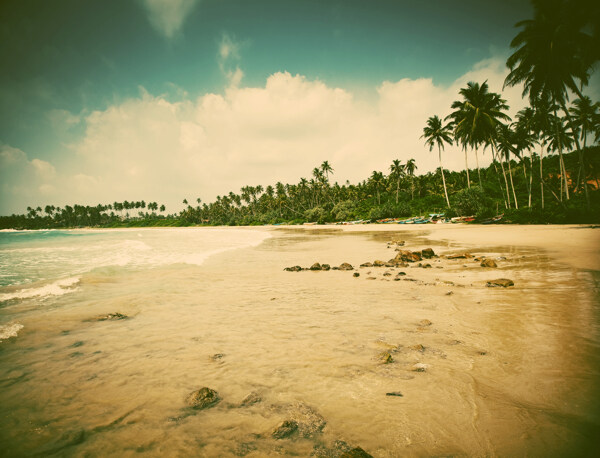 椰树蓝天海岸风景