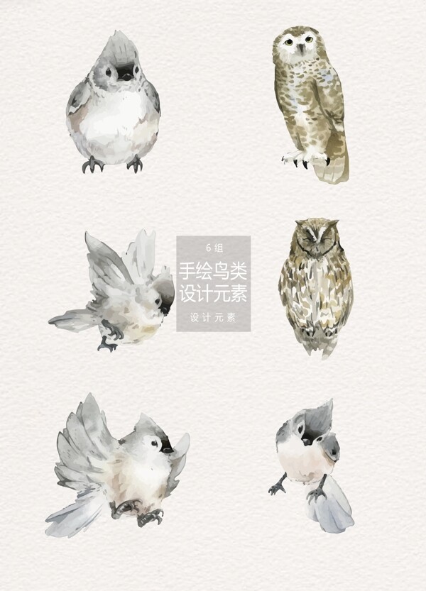 手绘鸟类插画设计元素