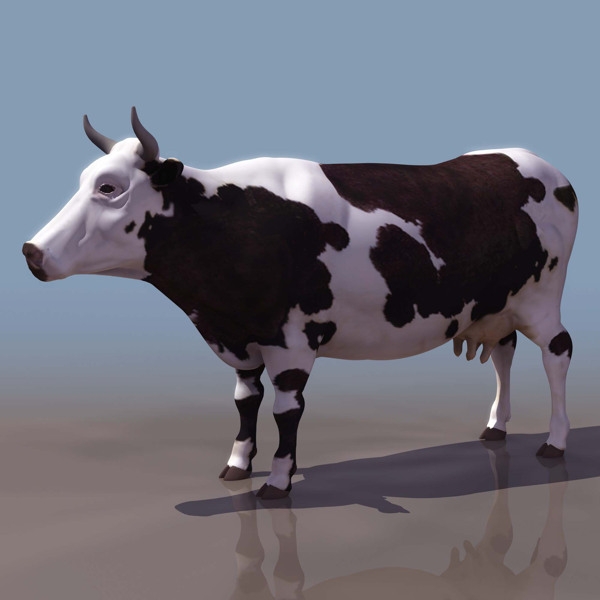 3d奶牛模型