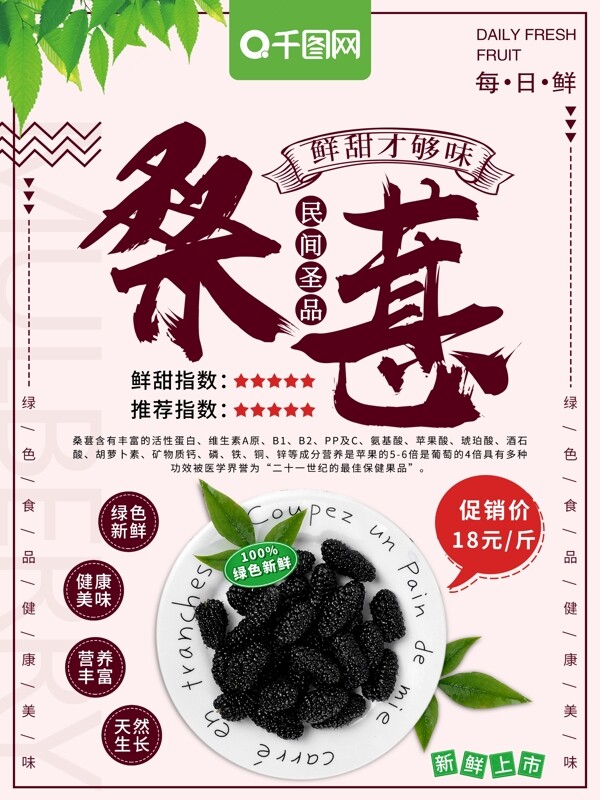 小清新桑葚水果美食促销海报