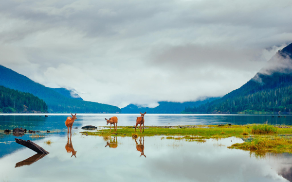 自然风景