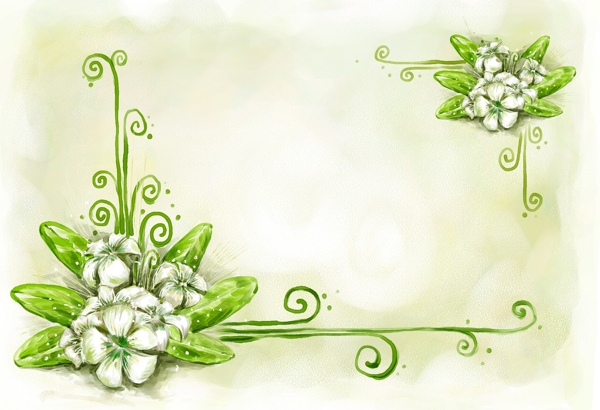手绘白色花朵风格艺术背景