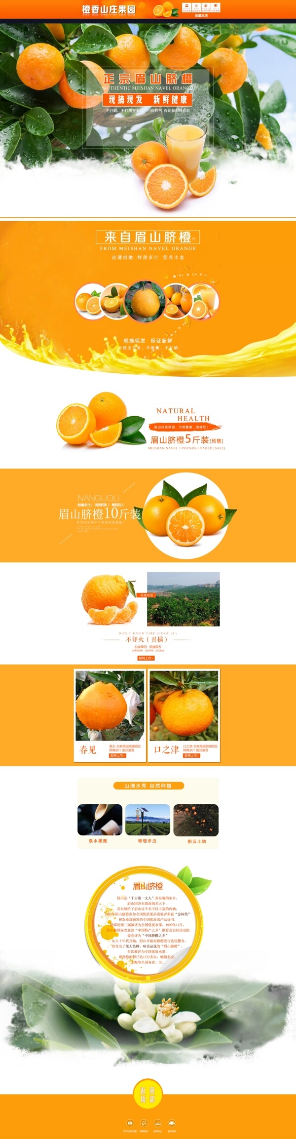脐橙首页淘宝电商水果