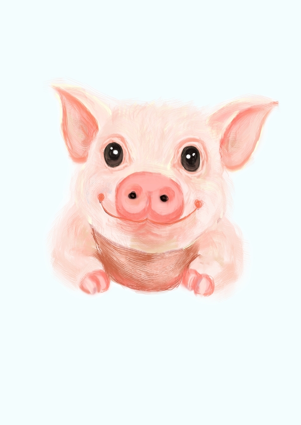 猪年插画手绘素材小猪可爱卡通