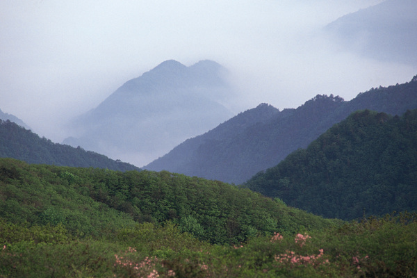 山水风景田园风景