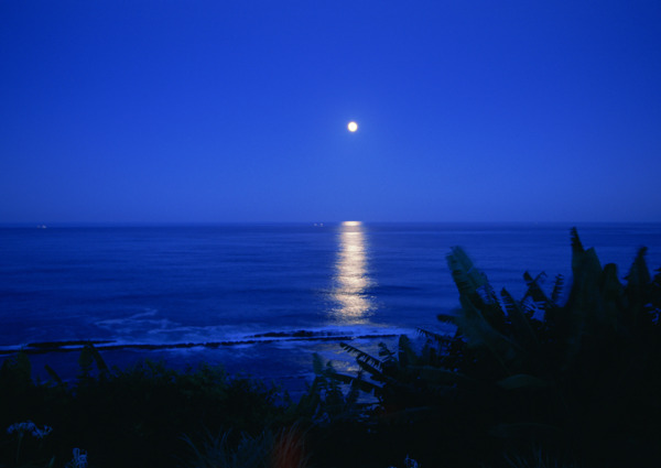 海水明月