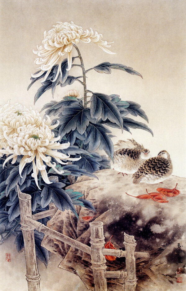 花鸟画菊花图片