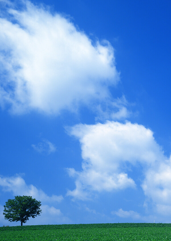 安静草原蓝天白云