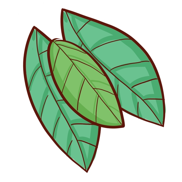 手绘插画树叶素材植物素材