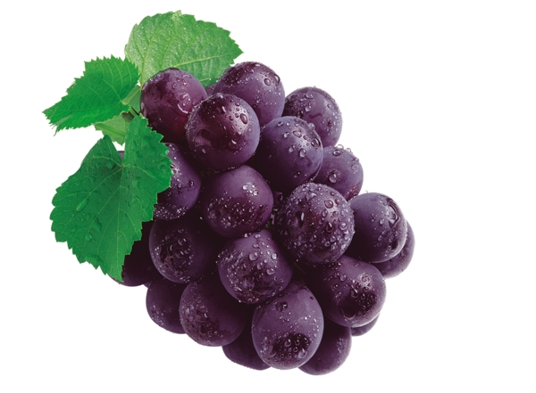 震撼高清水果之葡萄图片