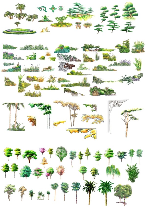 PS手绘植物素材图片