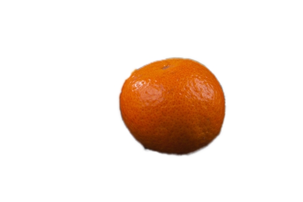 一个新鲜的大橘子