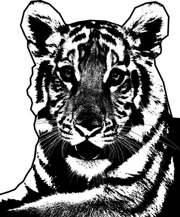 老虎的单色图像
