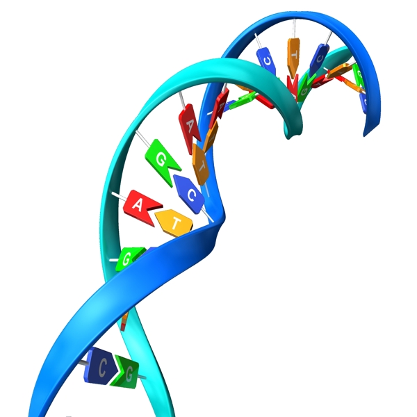 DNA双螺旋图片