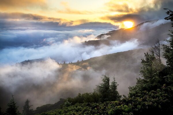 山丘森林雾太阳