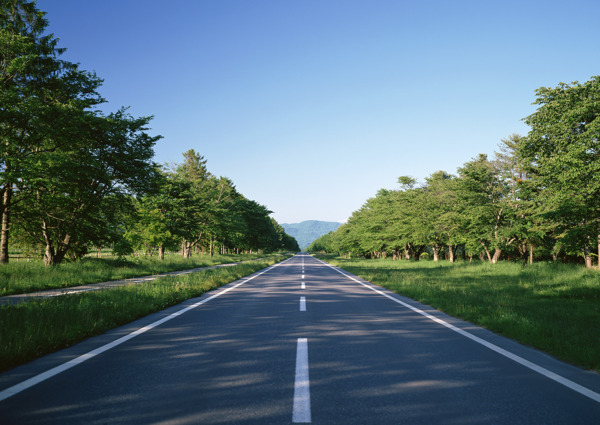 道路景观