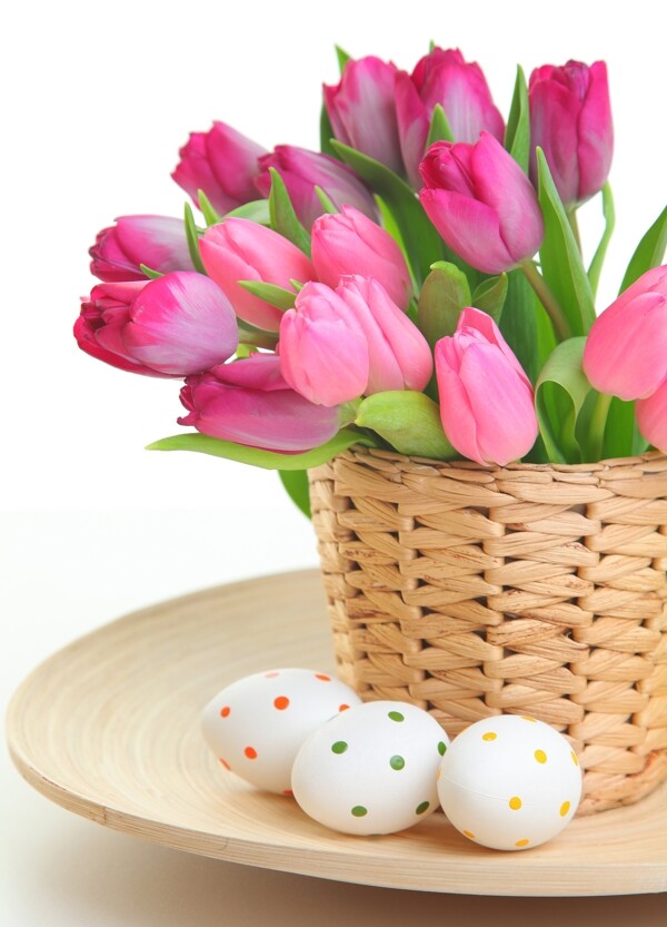 郁金香花朵与彩蛋图片