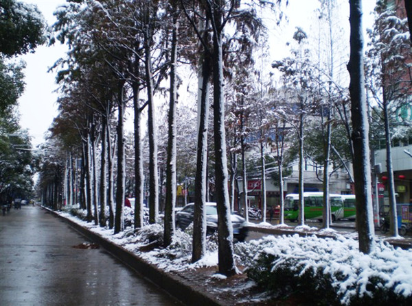 道路雪景