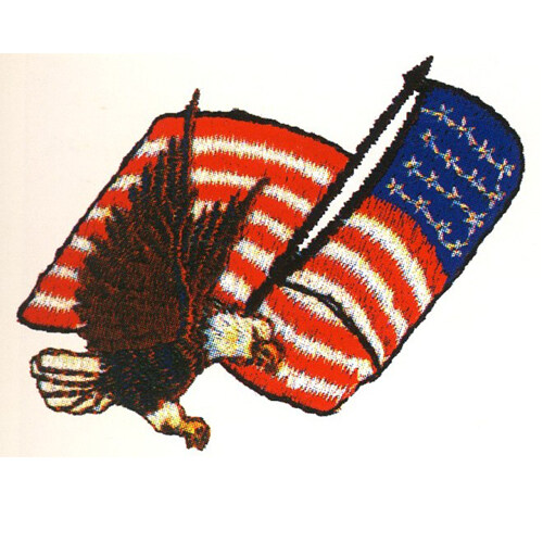 绣花老鹰美国国旗星条旗50个州和最初北美13块殖民地免费素材