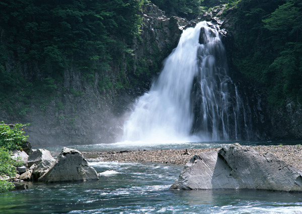 树植物水风景山