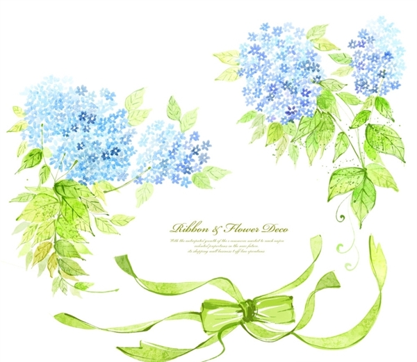 韩国蓝色花朵