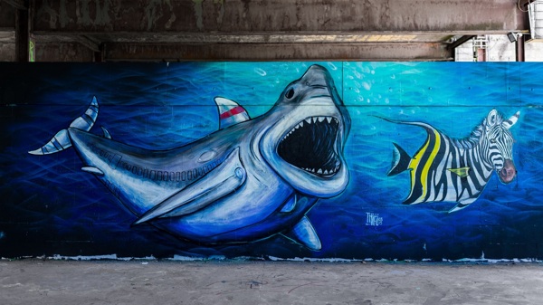 鲨鱼吃小鱼艺术墙面图片