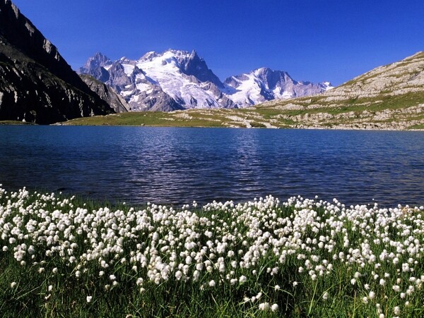 雪山与湖泊风景图片