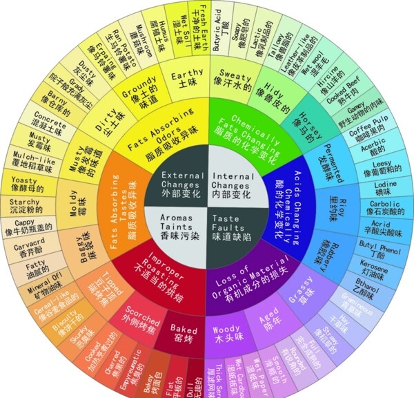 咖啡风味轮图片