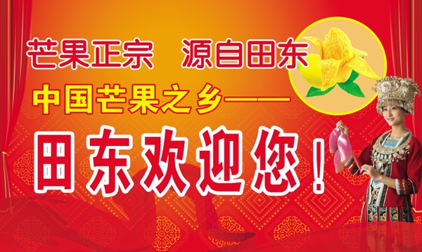 广西百色芒果节宣传