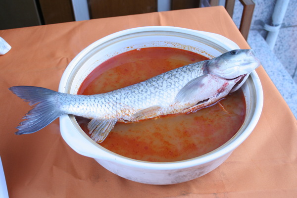 贵州酸汤鱼图片